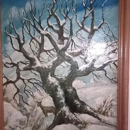 Hotel Хотел Руен 2*